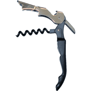 ΑΝΟΙΧΤΗΡΙ ΕΠΑΓΓΕΛΜΑΤΙΚΟ (1Χ24)