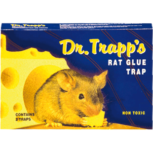 ΠΟΝΤΙΚΟΠΑΓΙΔΑ ΜΕΓΑΛΗ (1Χ24)