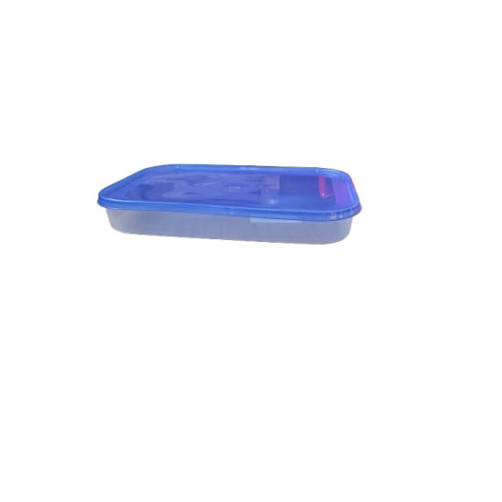 ΦΑΓΗΤΟΔΟΧΕΙΟ 1500ML FREEZER BOX